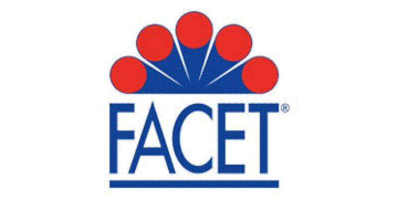 facet